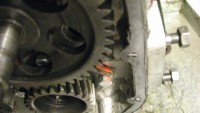 noiembrie2016 094.jpg